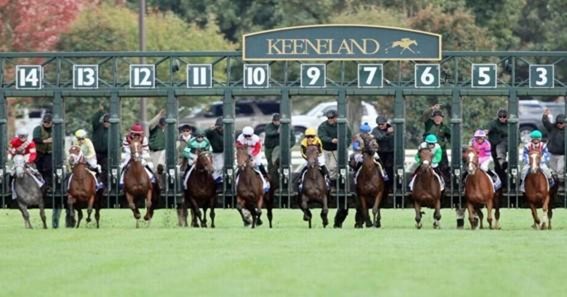 Have A Look At The Keeneland