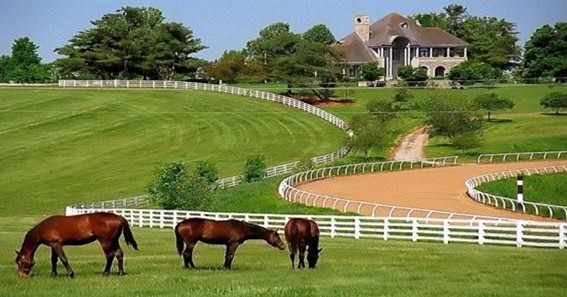 Head To The Thoroughbred Heritage Horse Farm Tours 