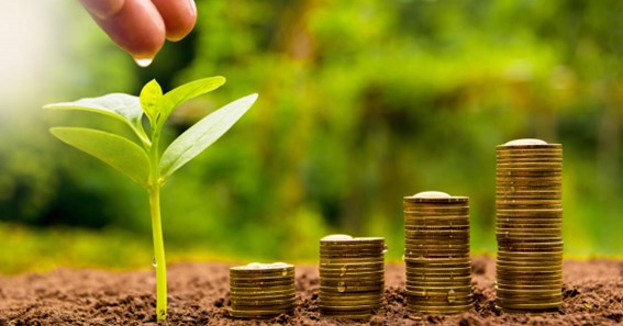 An Inside Look Into Ethical Investment Funds CricFor