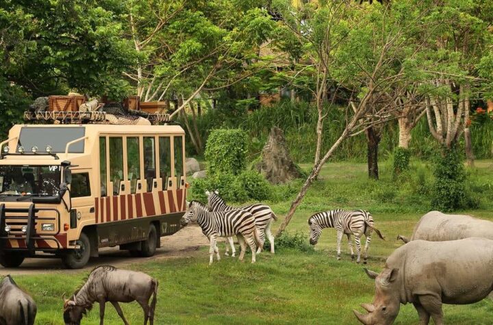 Dubai Safari Park Experiences